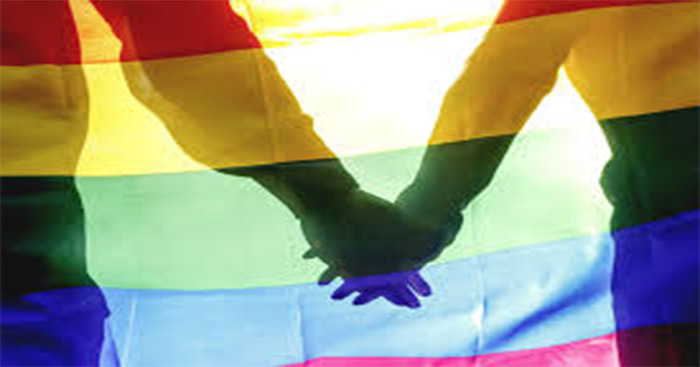 Pháp luật Việt Nam không cấm hôn nhân đồng giới