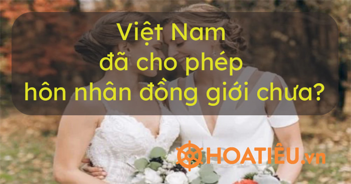 Xã hội Việt Nam ngày càng cởi mở hơn về hôn nhân đồng tính