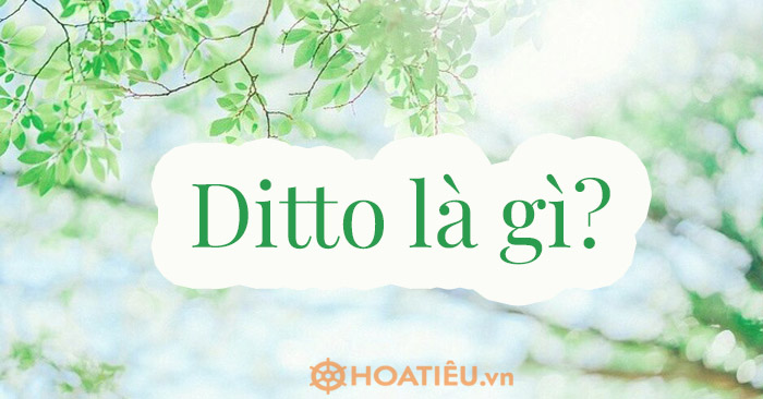 Nghĩa của từ ditto