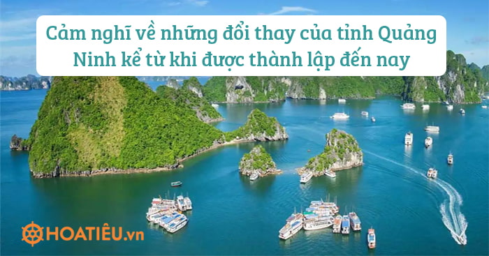 Cảm nghĩ về những đổi thay của tỉnh Quảng Ninh kể từ khi được thành lập đến nay